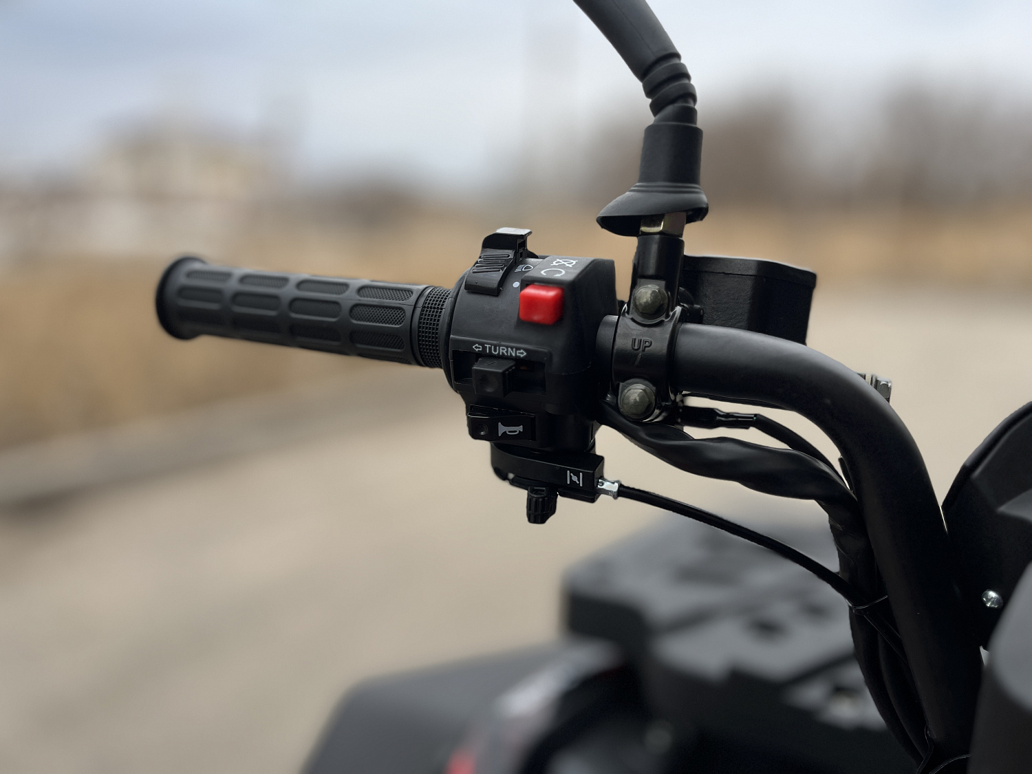 Квадроцикл PROMAX TAURUS 300 MAX-PRO LONG в Твери