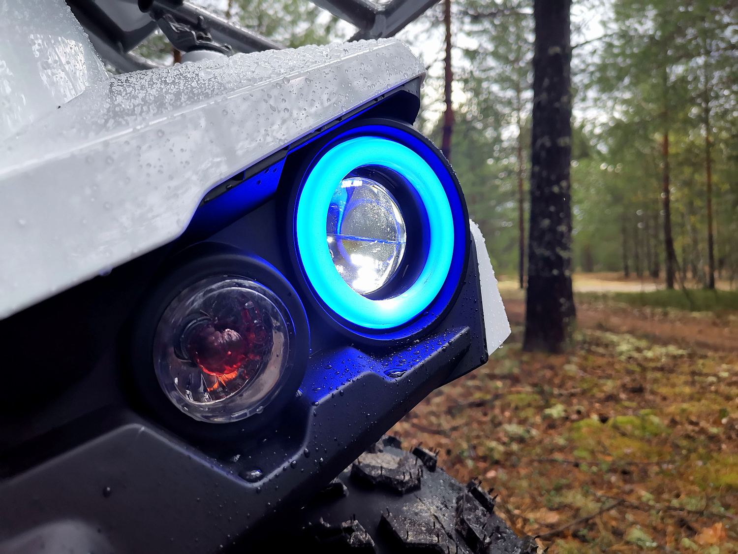 Квадроцикл PROMAX RENEGADE 280 (2025) в Твери