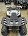 Квадроцикл PROMAX WILD 2.0 190 в Твери