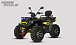 Квадроцикл PROMAX TAURUS 300 MAX-PRO LONG в Твери