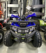 Квадроцикл PROMAX WILD 2.0 190 PRO (2025) в Твери